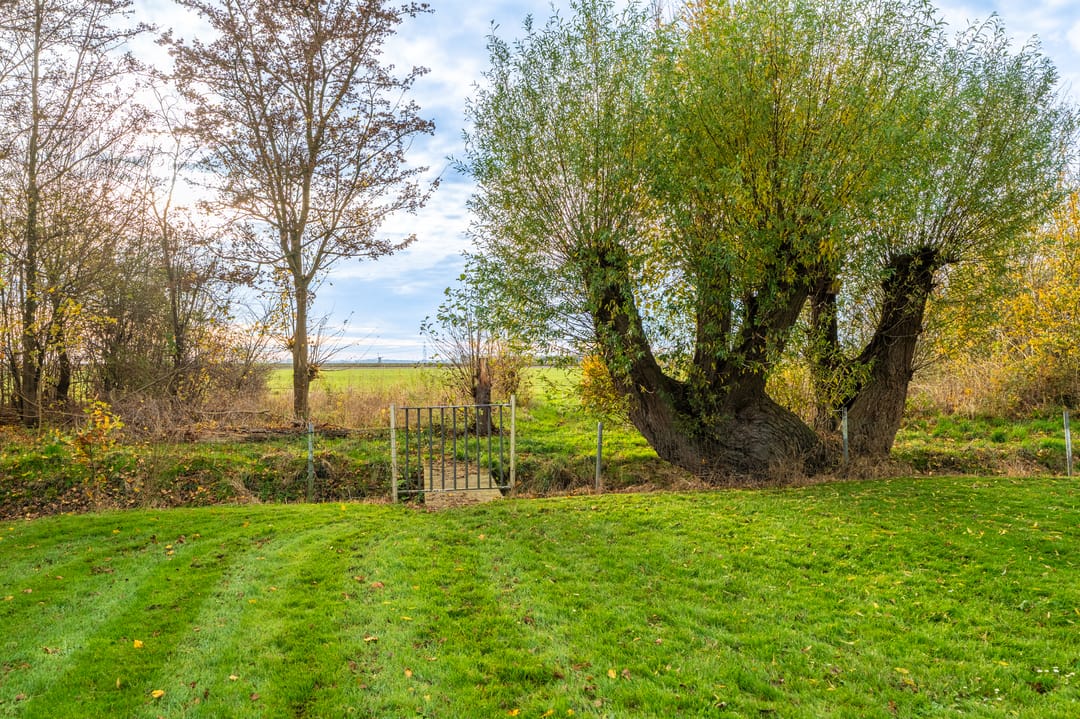 Foto 53 van Hamrikkerweg 118-A