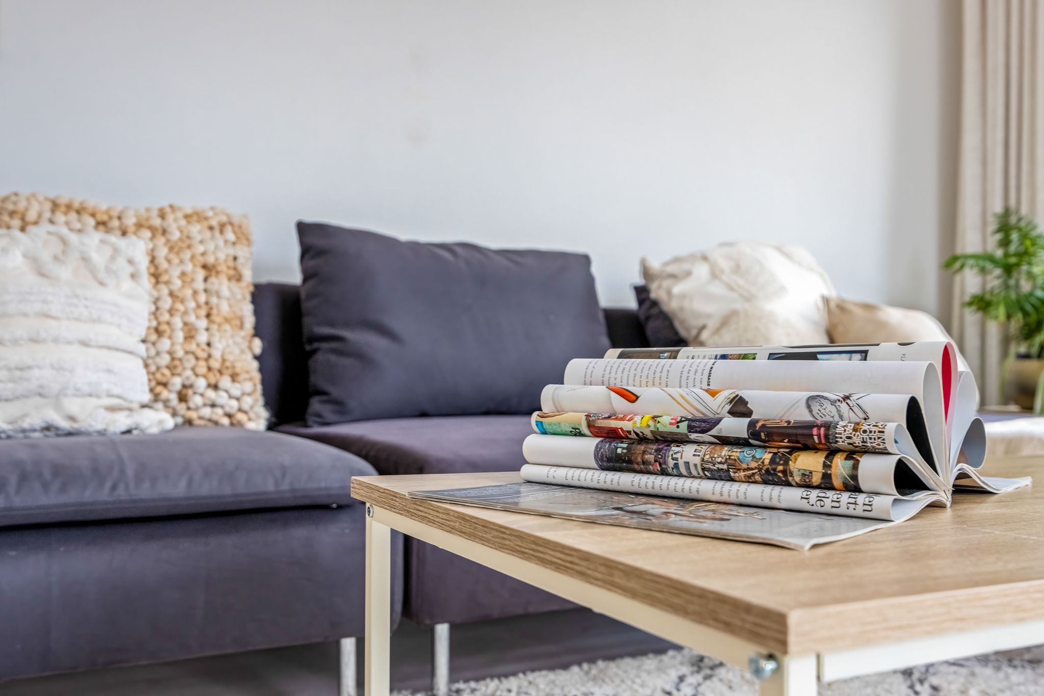 Photo 9 of Traaij 2-B