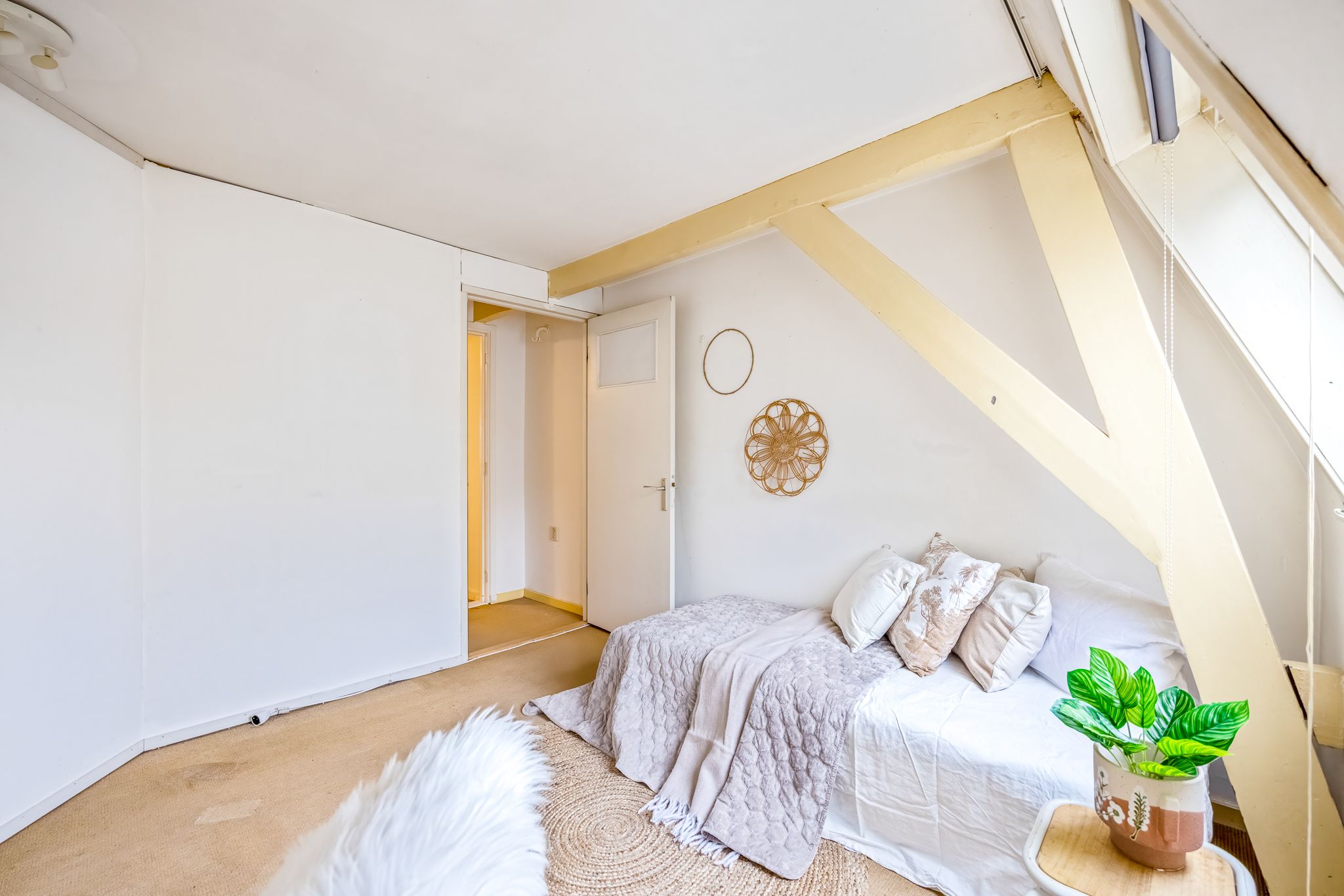 Photo 24 of Traaij 2-B