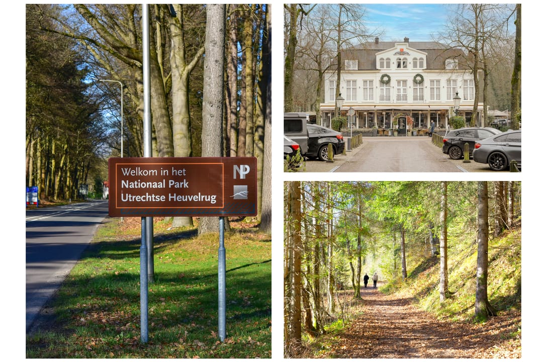 Photo 46 of Traaij 2-B