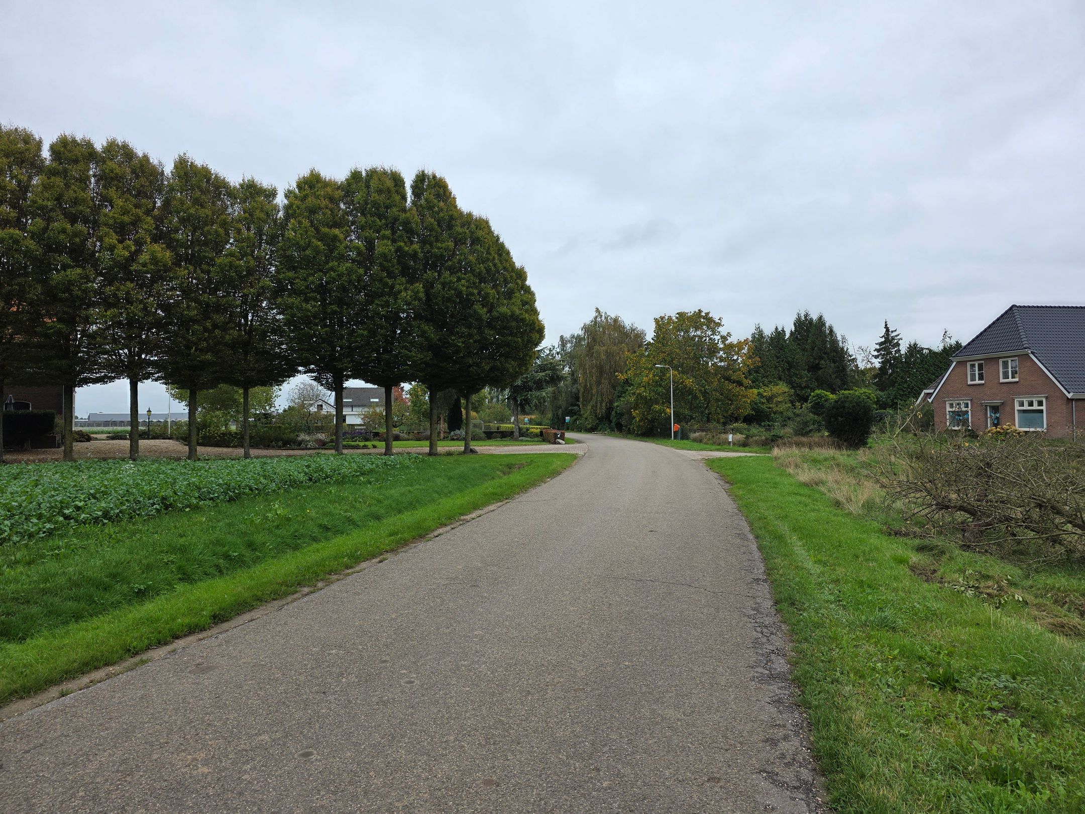 Photo 9 of Flierensestraat