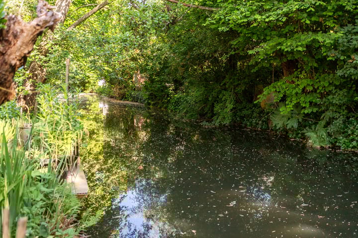 Photo 53 of Admiraal van Gentstraat 67