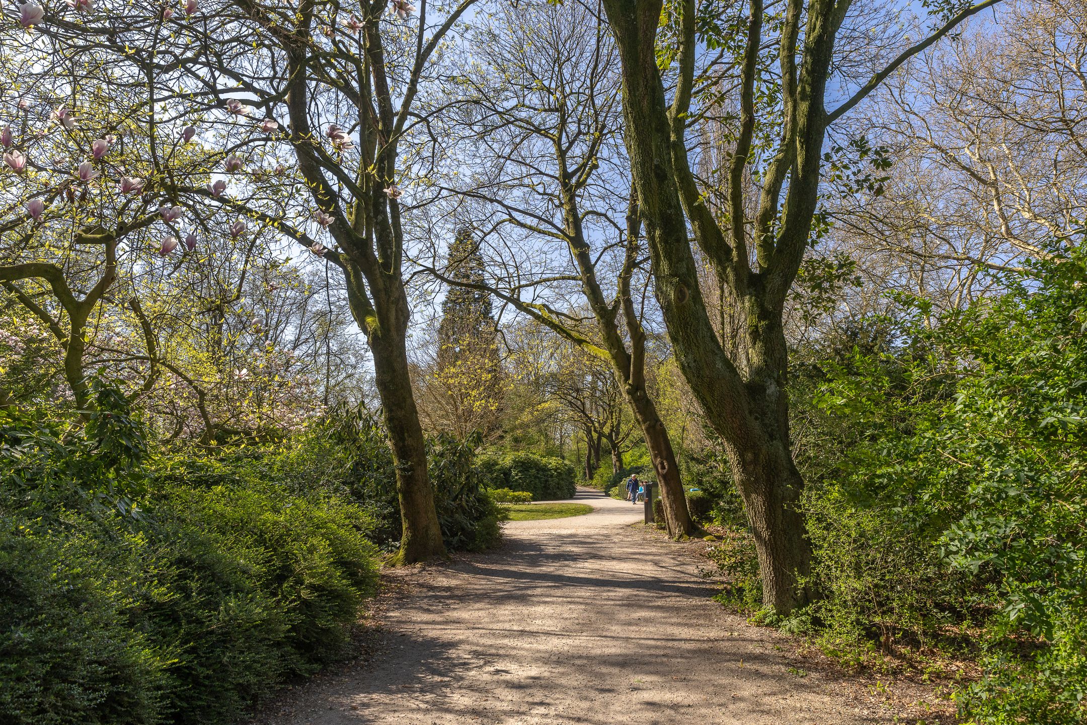 Foto 24 van Amsterdamsestraatweg 521-A