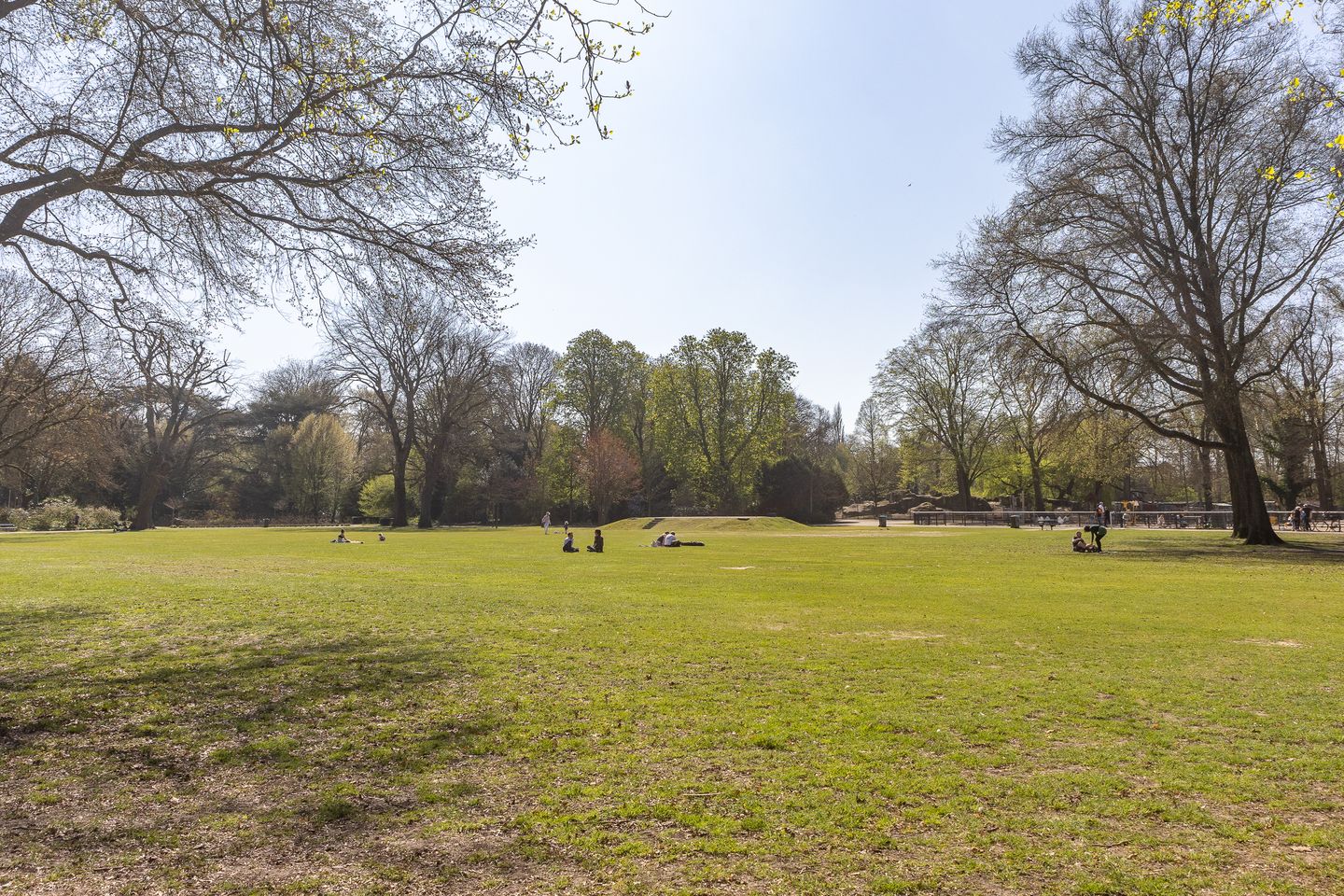 Foto 25 van Amsterdamsestraatweg 521-A