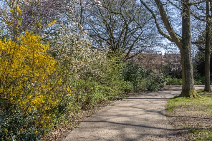 Photo 26 of Amsterdamsestraatweg 521-A