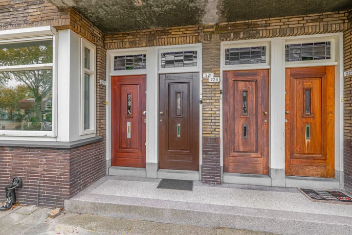 Foto 5 van Willemskade 221-2