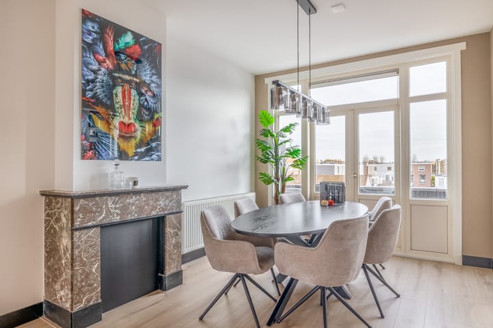 Foto 17 van Willemskade 221-2