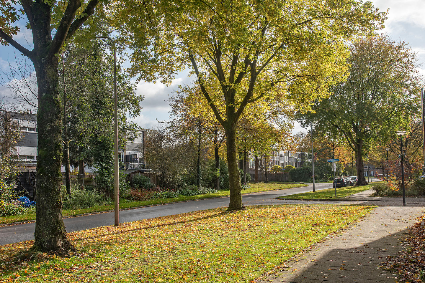 Foto 29 van Ahuislanden 31