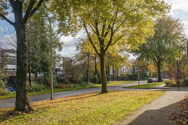 Photo 29 of Ahuislanden 31