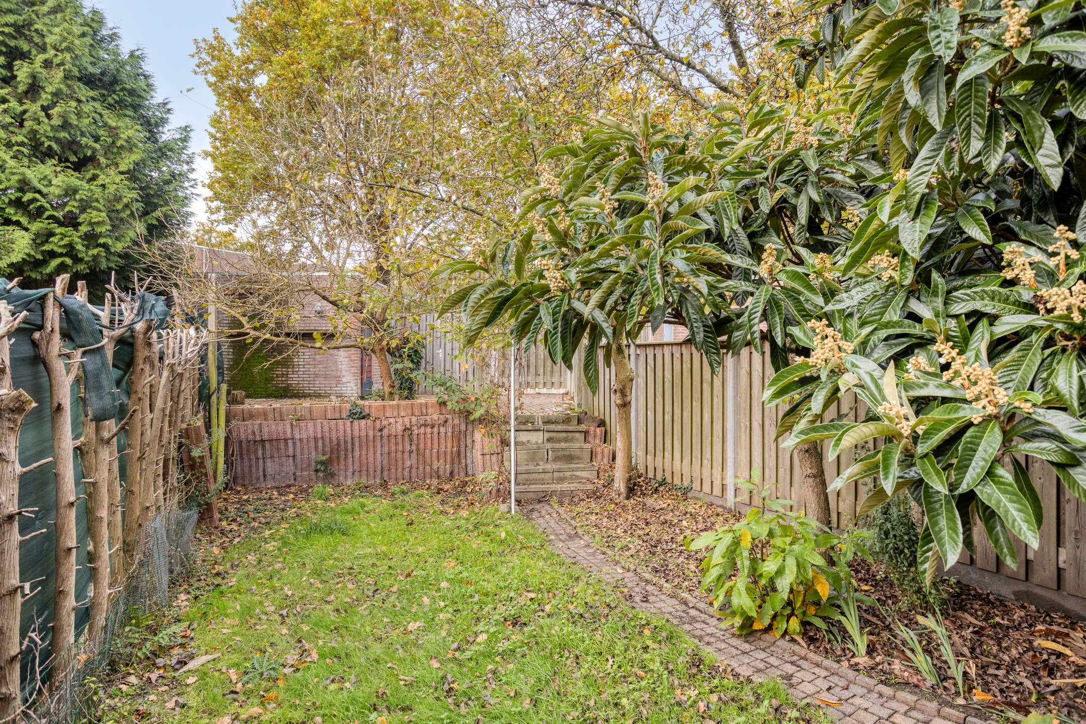 Photo 3 of Kempenhof 100