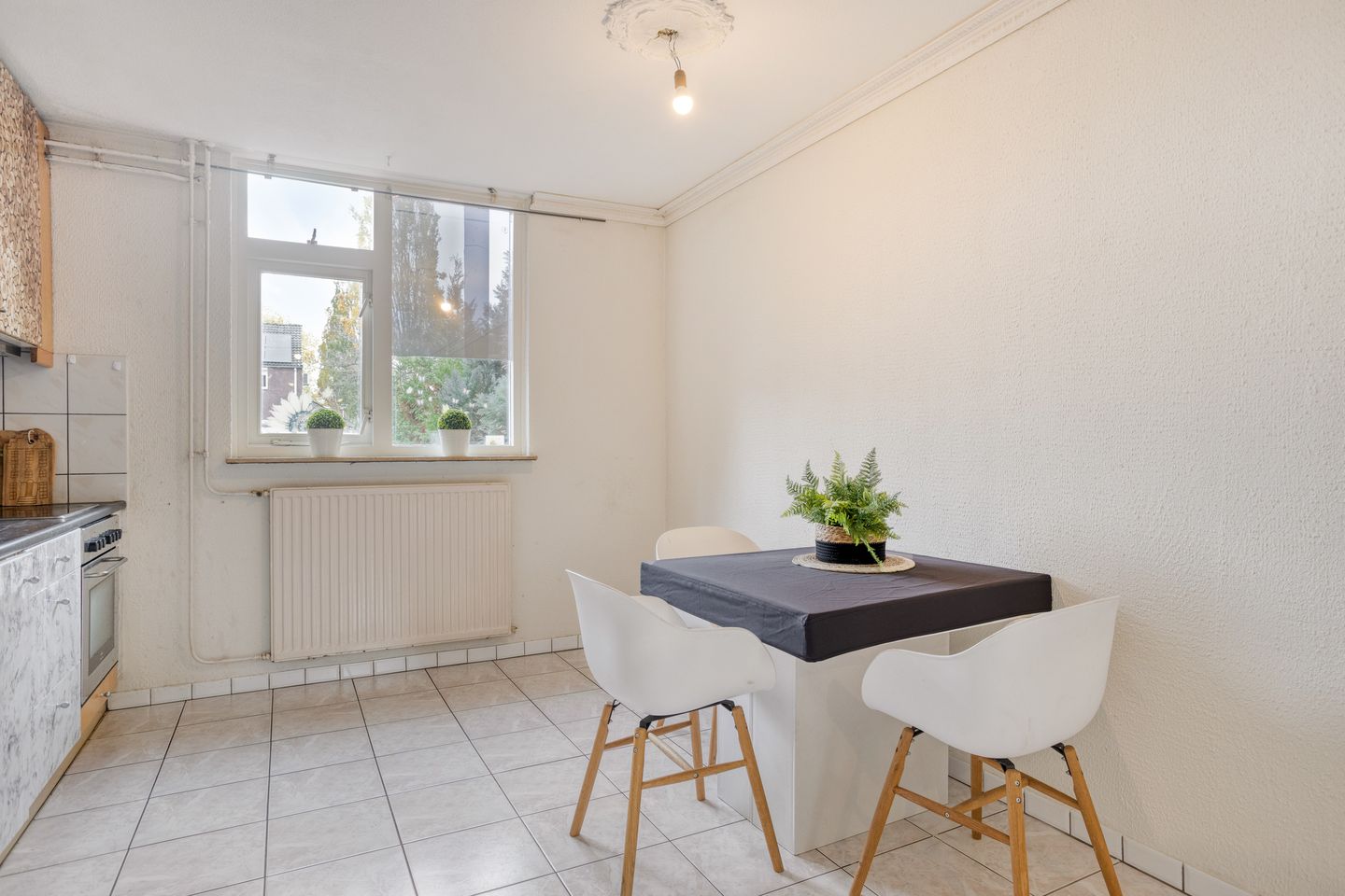 Photo 19 of Kempenhof 100