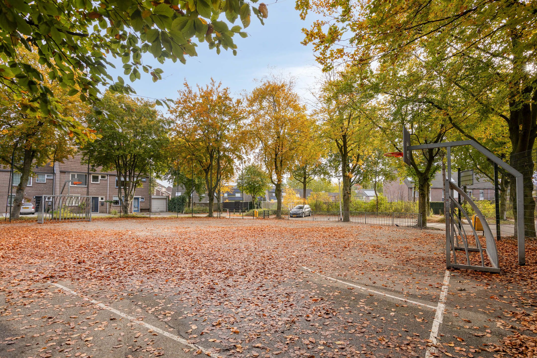 Photo 48 of Kempenhof 100