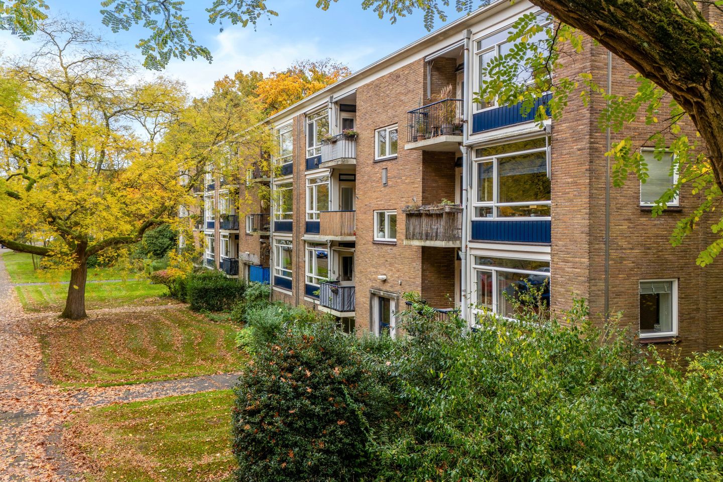 Foto 5 van Waltersingel 14