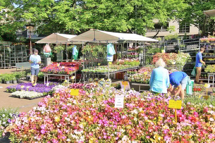 Photo 47 of Lange Leidsedwarsstraat 9-D