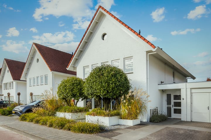 Photo 8 of Granaat 9