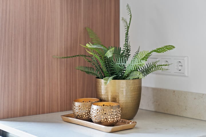 Photo 31 of Granaat 9