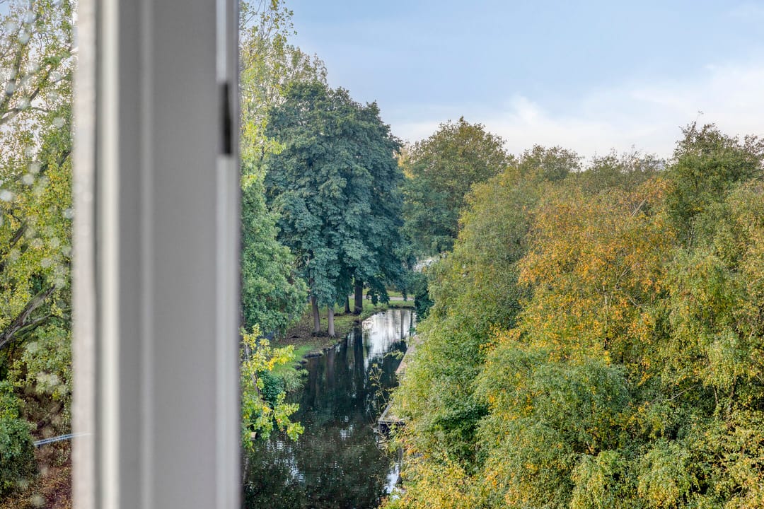 Photo 13 of Treviso 49