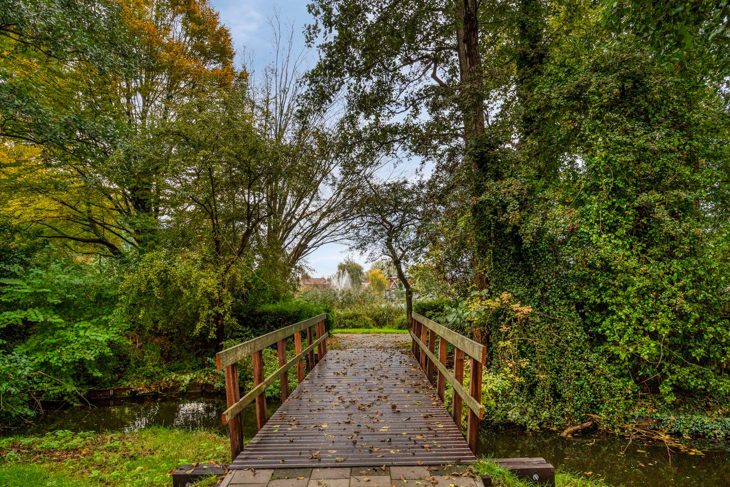 Photo 34 of Treviso 49