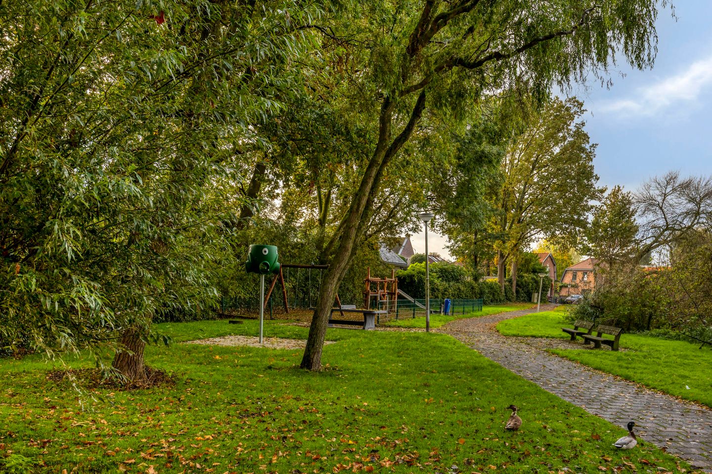 Photo 35 of Treviso 49