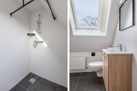 Stobbe 81 tertiary image