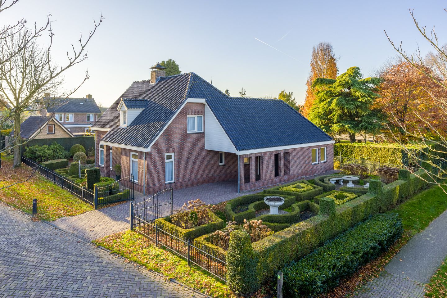 Photo 1 of Vederdistel 1