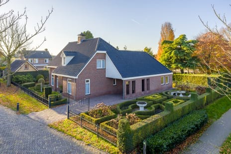 Vederdistel thumbnail