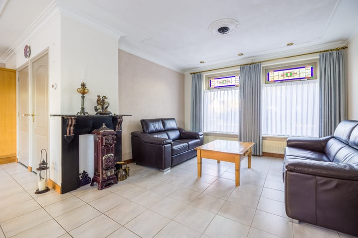 Foto 9 van Vederdistel 1