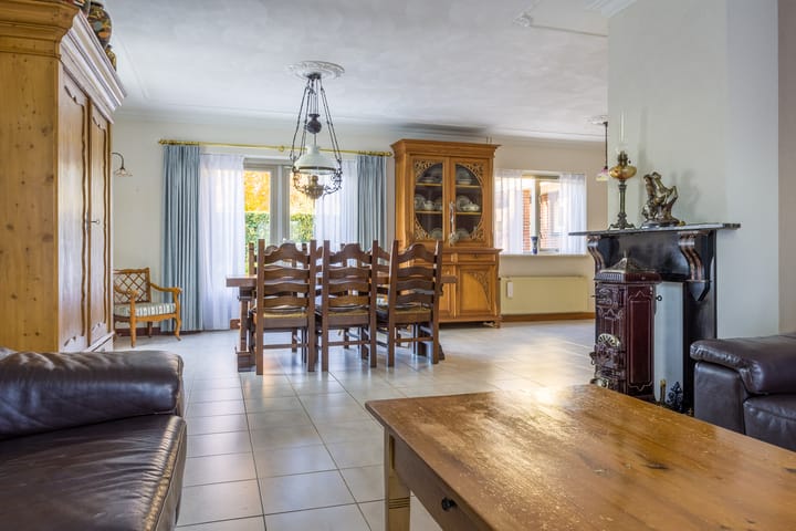 Foto 10 van Vederdistel 1