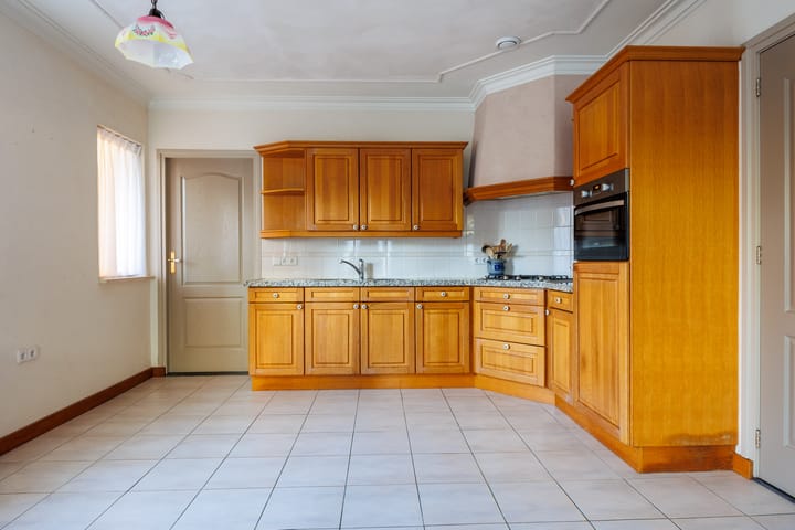 Foto 13 van Vederdistel 1