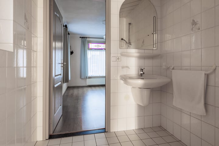 Foto 17 van Vederdistel 1