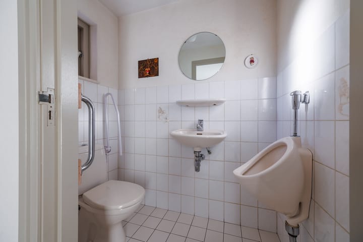 Foto 20 van Vederdistel 1