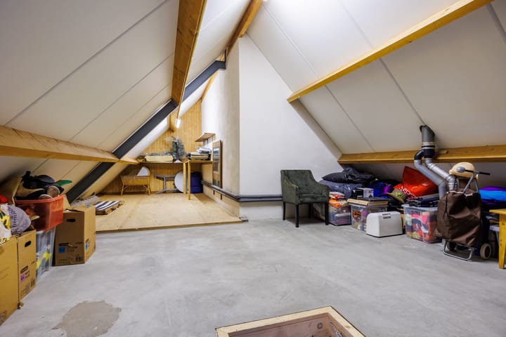 Foto 24 van Vederdistel 1