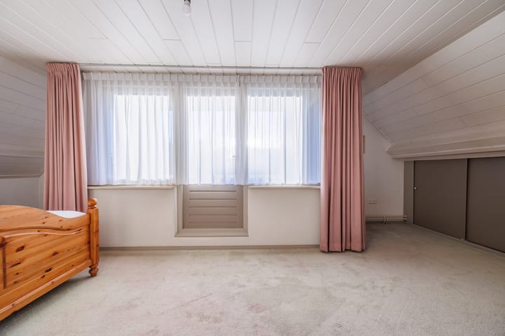 Foto 27 van Vederdistel 1