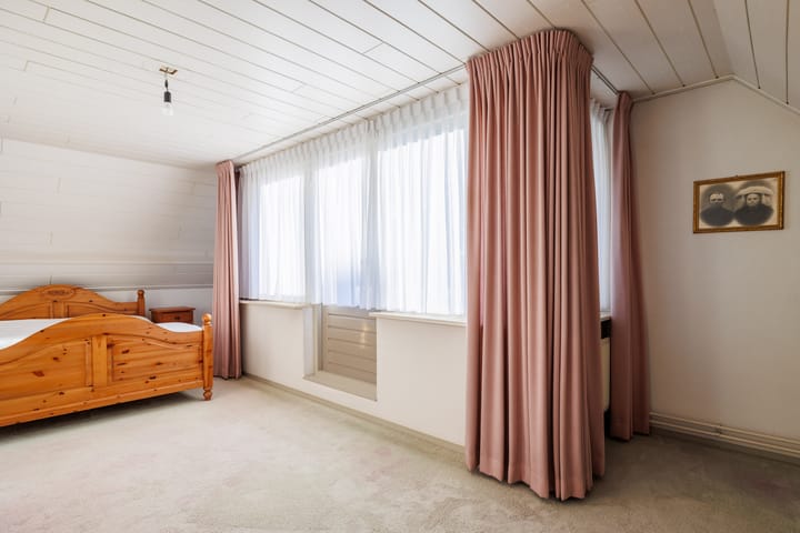 Foto 28 van Vederdistel 1