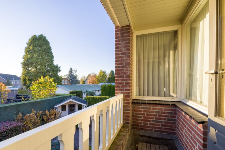 Foto 30 van Vederdistel 1