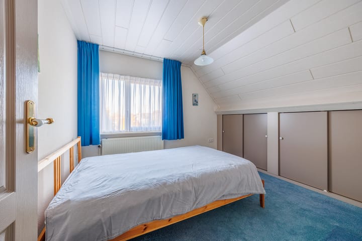 Foto 31 van Vederdistel 1