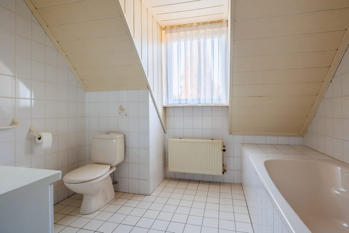 Foto 34 van Vederdistel 1