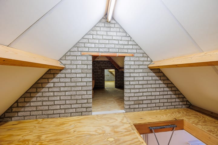 Foto 36 van Vederdistel 1