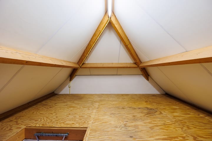 Foto 37 van Vederdistel 1