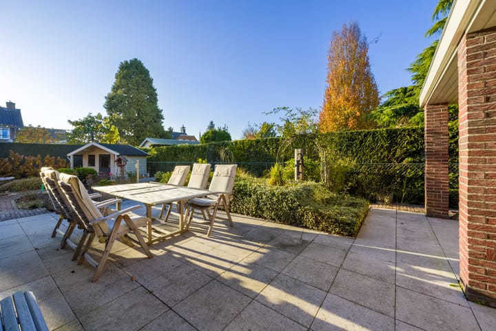 Foto 39 van Vederdistel 1