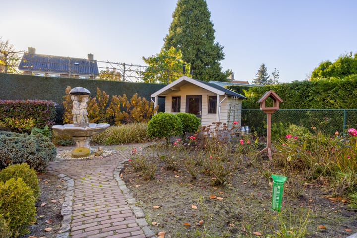 Foto 41 van Vederdistel 1