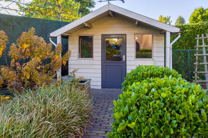 Foto 42 van Vederdistel 1