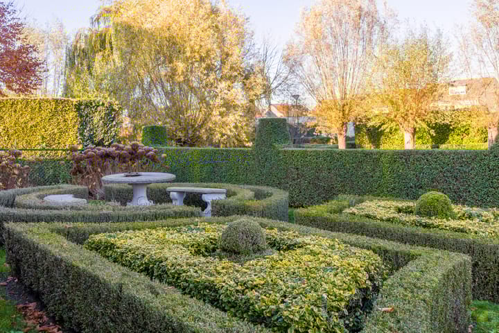 Foto 46 van Vederdistel 1