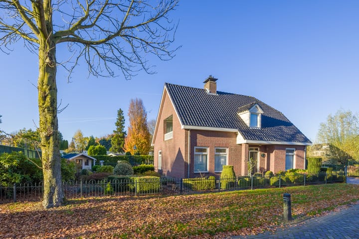 Foto 48 van Vederdistel 1