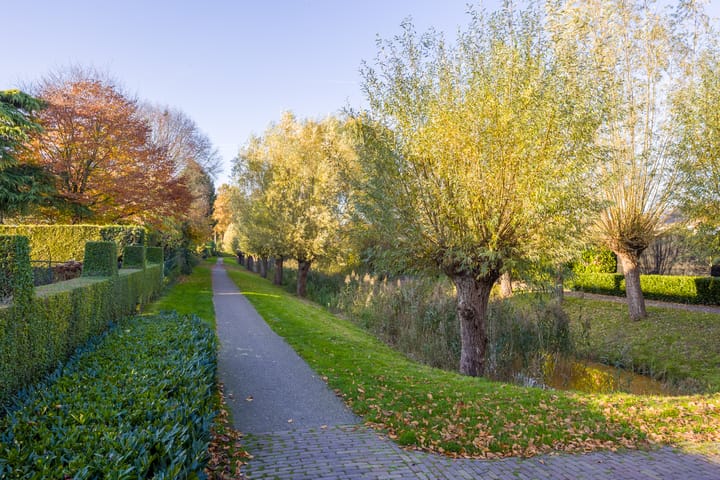 Foto 51 van Vederdistel 1