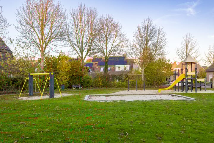 Foto 53 van Vederdistel 1