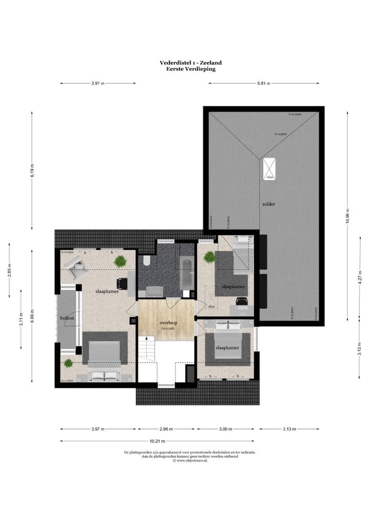 Foto 56 van Vederdistel 1