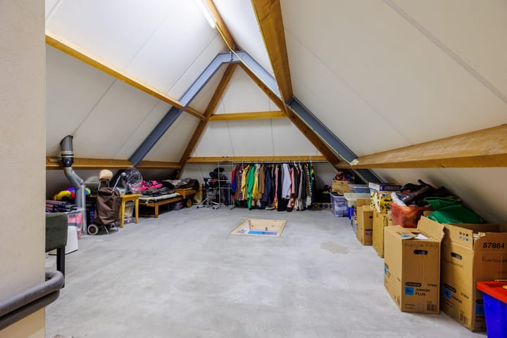 Foto 25 van Vederdistel 1