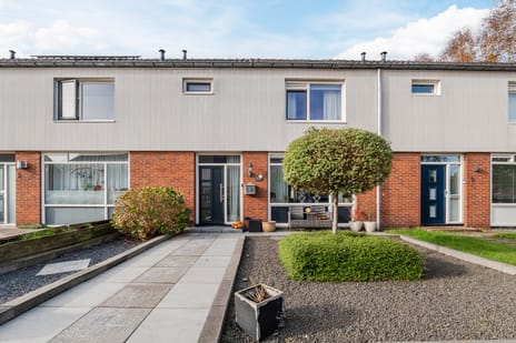 Cohenstraat thumbnail