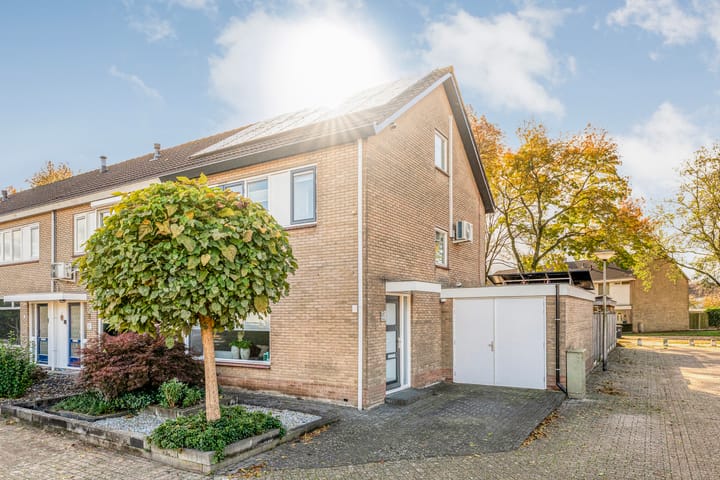 Borg Allersma 1 main image